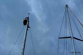 w010jan_mast
