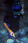 011a_howard246_web